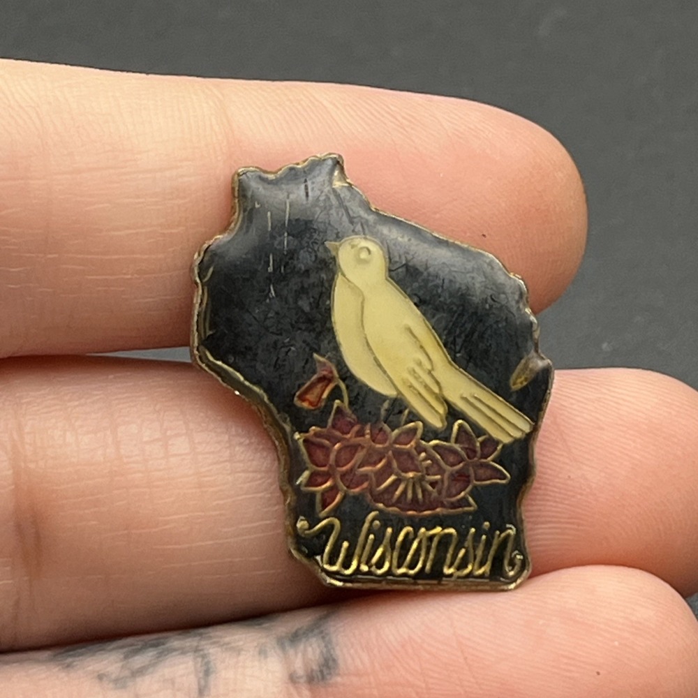 Wisconsin State Outline Bird Flowers United States Of America Lapel Hat Pin